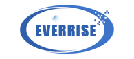 EVERRISE TECHNOLOGY LTD.